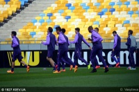 15.04.2015 Динамо-Фіорентина. Напередодні