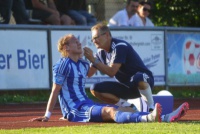 Про пошкодження Домагоя Віди