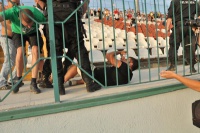 Матч «Зірка» – «Карпати» завершився побоїщем і скандалом