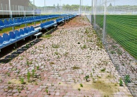 База «Металіста» поросла травою і грибами