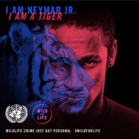 Бекхем, Неймар, Ібра. Хто захищає тварин, а хто - вбиває?