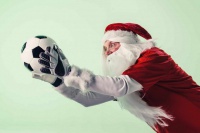 Мавпа на зебрі