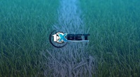1xBet. Переваги контори та актуальні акції