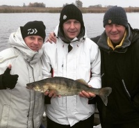 Динамівці: життя за межами поля