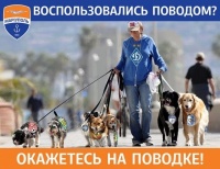 «Маріуполь» проти всіх. Так хто тут пес?