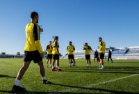 Дев'ять гравців «Боруссії» Д захворіли шлунково-кишковим грипом через курячий кебаб