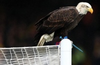 Найцікавіші передматчеві традиції клубів АПЛ