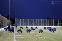 «Динамо» завершує підготовку до зборів