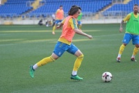 У Львові відкриють фан-зону до матчу Україна – Словаччина