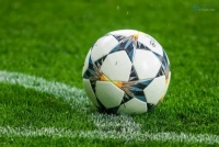 «Ворскла» – «Динамо»: темношкірі вболівальники шалено підтримали полтавців