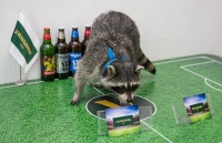 Енот выбрал финалистов Кубка Украины и победителя турнира