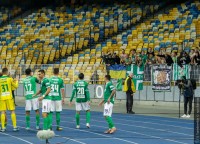 ЗМІ: мільярдер з Росії може стати власником «Карпат» 