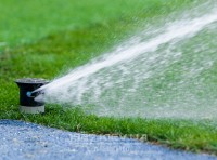 «Шахтер»: «Газон НСК «Олимпийский» не дотягивает до уровня арены «Металлиста»