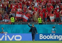 Австрийские болельщики: «Украинцы специально «сливали» матч, чтобы не попасть на Италию»