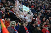 «Життя котів важливі». Банер на адресу Зума пролетів над полем під час гри з «Ліверпулем»