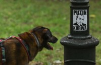 ISW: путін планує зібрати нові сили для наступу на Україну восени та взимку