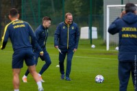 «Чому тепер не замінити Петракова, скажімо, Ротанем? Він свій шанс чесно заробив», - журналіст про майбутнє Олександра Петракова