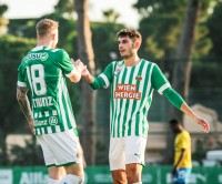 Представляємо першого суперника зимового збору: «Рапід» (Австрія)