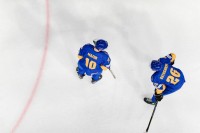 ЧС з хокею. Україна програла Японії у матчі за підвищення у класі