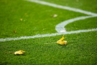 Перша ліга: «Карпати» розбили «Ниву» за тайм, невдача «Буковини» і перемога «Металіста» 