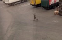 Працівник ТЦК стріляв у чоловіка на Київщині: Міноборони перевіряє правомірність його дій