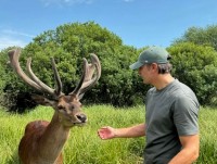 Дружина Шовковського показала чергового мешканця домашнього зоопарку тренера «Динамо»