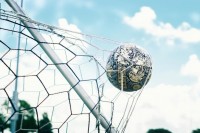 Ищем лучшие букмекерские компании: советы по выбору