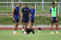 Проблему форварда вирішено: чотирилапий французький технар поцупив м'яч на тренуванні «Динамо»