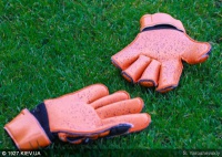 Валче купили за м'ясо, Райта — за гирі. Чим платять за гравців?