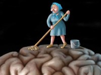 Обзор СМИ. Мусор в паутине