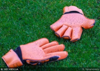 Найкращі сейви тижня