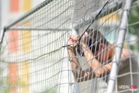 За что не любят футболистов в Англии