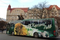 Затримано організатора договірних матчів, який намагався підкупити юніорів «Карпат»