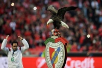 «Бенфіка» замовляла повій для суддів