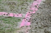 Джерело: Керівництво «Динамо» було шоковане якістю газону в матчі з «Рухом»