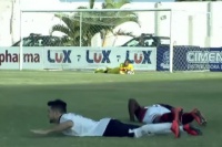 У Бразилії арбітр зупинив футбольний матч через напад диких бджіл