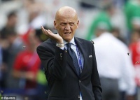 Перед фінальною грою Євро-2016 стадіон атакувала міль