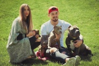 Динамівці: життя за межами поля