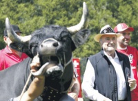 Блаттеру подарували корову 