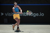  Світоліна програла. Вихід до фіналу Кубка Біллі Джин Кінг відкладається