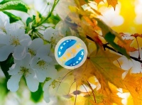 Букмекери приймають ставки на перехід УПЛ до формату «весна-осінь»