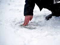 Матч «Олімпік» - «Карпати» не відбудеться