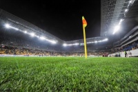 На «Арені Львів» постелять штучний газон