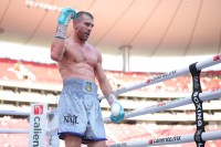 Гвоздик нокаутував Болотнікса. Чи достатньо цього, щоб боротися за титули?