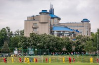 УАФ зробила заяву щодо бійок у матчах «Шахтар» – «Динамо» та команд U-19