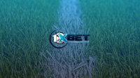1xBet. Огляд букмекерської контори