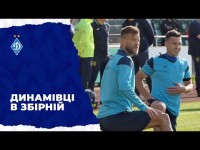 Підготовка до Євро – триває. Тренування динамівців у збірній України