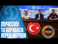 Мірча Луческу: 