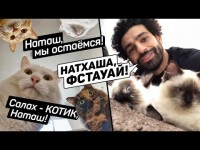 Домашние животные футболистов Домашние животные футболистов